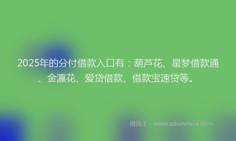 2025年的分付借款入口有：葫芦花、星梦借款通、金瀛花、爱贷借款、借款宝速贷等。