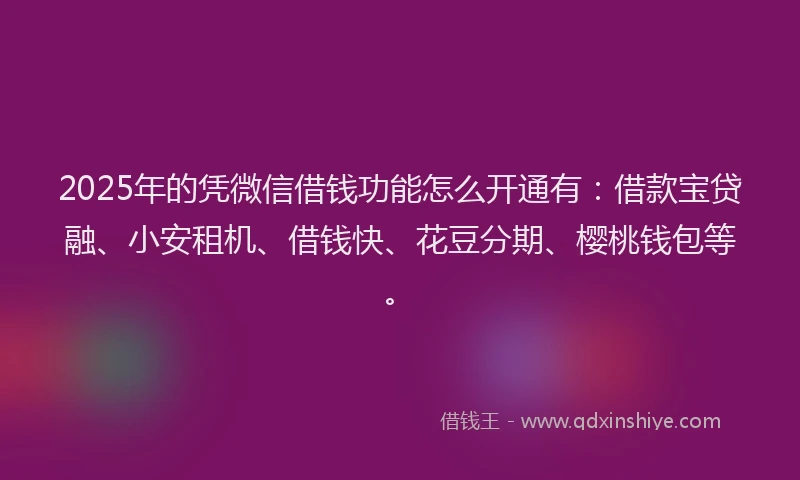 2025年的凭微信借钱功能怎么开通有：借款宝贷融、小安租机、借钱快、花豆分期、樱桃钱包等。