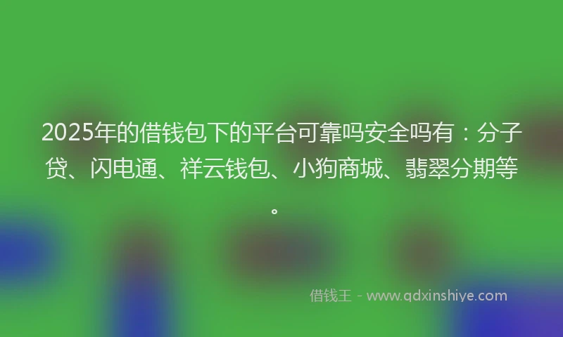 2025年的借钱包下的平台可靠吗安全吗有：分子贷、闪电通、祥云钱包、小狗商城、翡翠分期等。