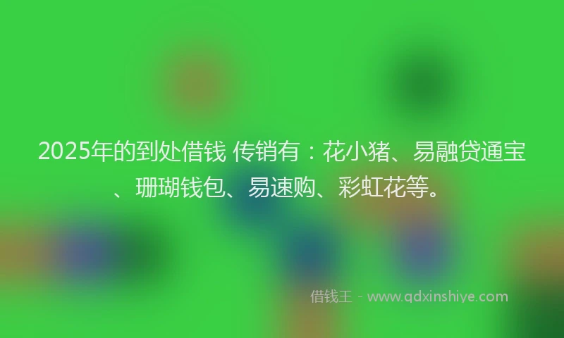 2025年的到处借钱 传销有：花小猪、易融贷通宝、珊瑚钱包、易速购、彩虹花等。