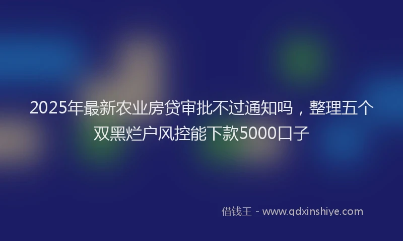2025年最新农业房贷审批不过通知吗，整理五个双黑烂户风控能下款5000口子