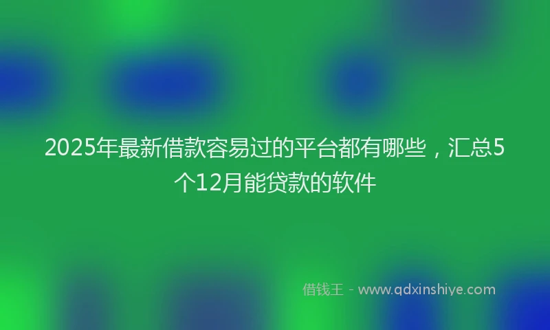 2025年最新借款容易过的平台都有哪些，汇总5个12月能贷款的软件