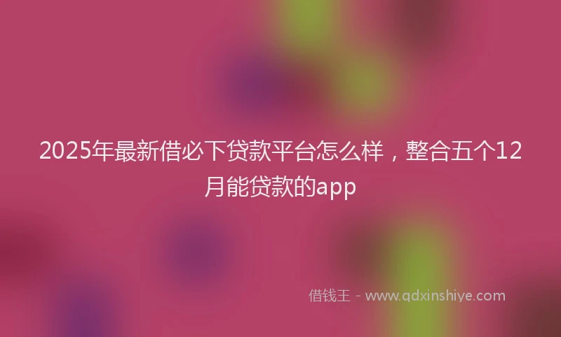 2025年最新借必下贷款平台怎么样，整合五个12月能贷款的app