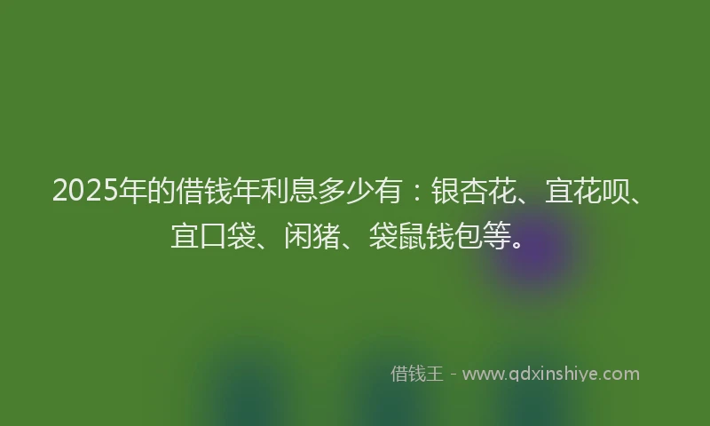 2025年的借钱年利息多少有：银杏花、宜花呗、宜口袋、闲猪、袋鼠钱包等。