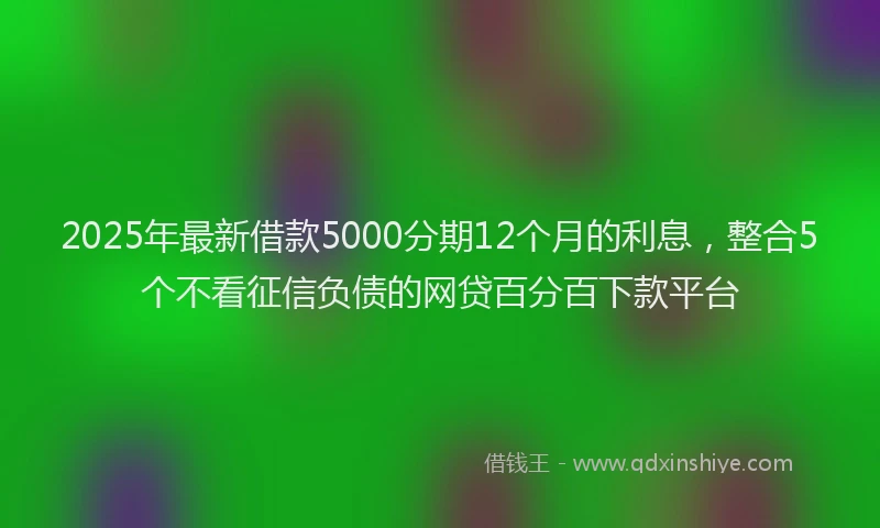 2025年最新借款5000分期12个月的利息，整合5个不看征信负债的网贷百分百下款平台