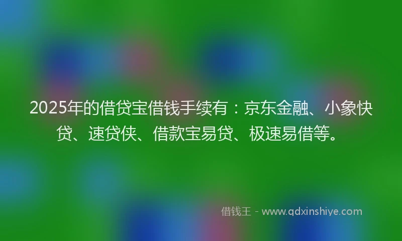 2025年的借贷宝借钱手续有：京东金融、小象快贷、速贷侠、借款宝易贷、极速易借等。