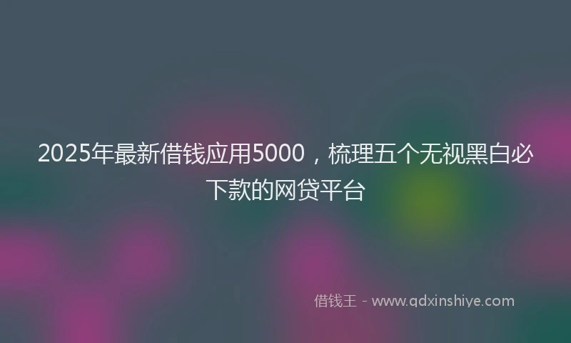 2025年最新借钱应用5000，梳理五个无视黑白必下款的网贷平台