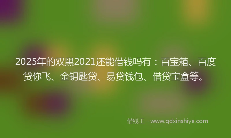 2025年的双黑2021还能借钱吗有：百宝箱、百度贷你飞、金钥匙贷、易贷钱包、借贷宝盒等。