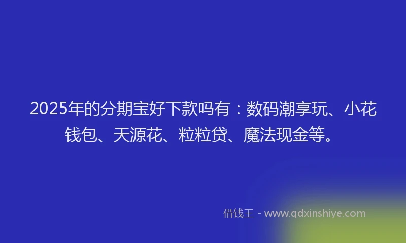 2025年的分期宝好下款吗有：数码潮享玩、小花钱包、天源花、粒粒贷、魔法现金等。