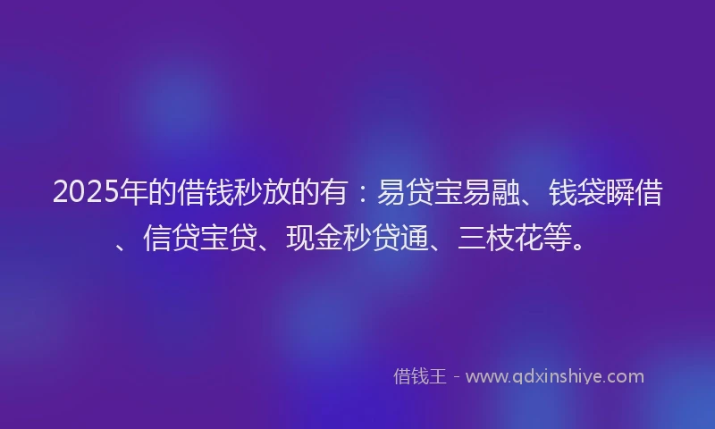 2025年的借钱秒放的有：易贷宝易融、钱袋瞬借、信贷宝贷、现金秒贷通、三枝花等。