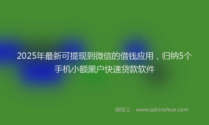 2025年最新可提现到微信的借钱应用，归纳5个手机小额黑户快速贷款软件