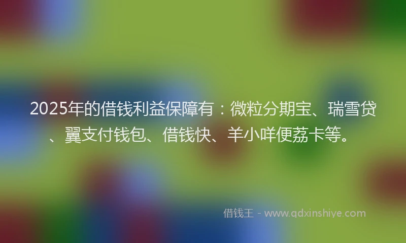 2025年的借钱利益保障有：微粒分期宝、瑞雪贷、翼支付钱包、借钱快、羊小咩便荔卡等。
