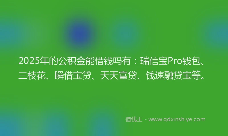 2025年的公积金能借钱吗有：瑞信宝Pro钱包、三枝花、瞬借宝贷、天天富贷、钱速融贷宝等。