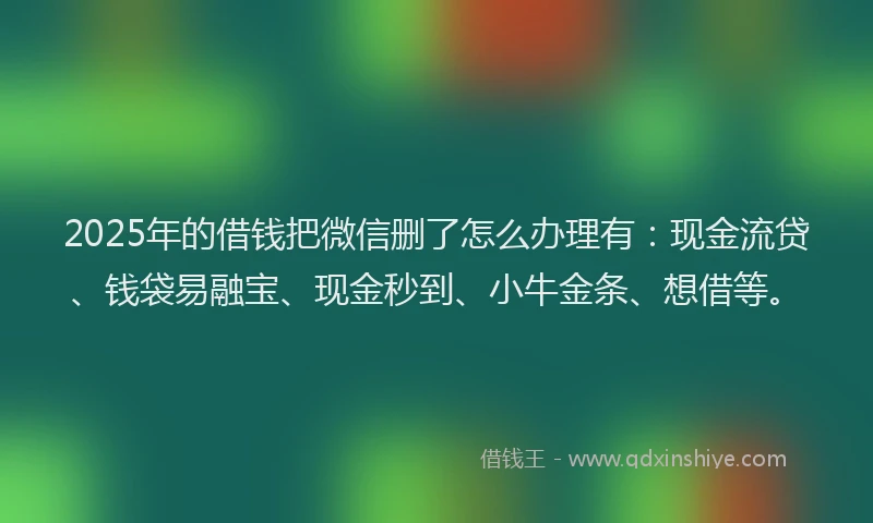 2025年的借钱把微信删了怎么办理有：现金流贷、钱袋易融宝、现金秒到、小牛金条、想借等。