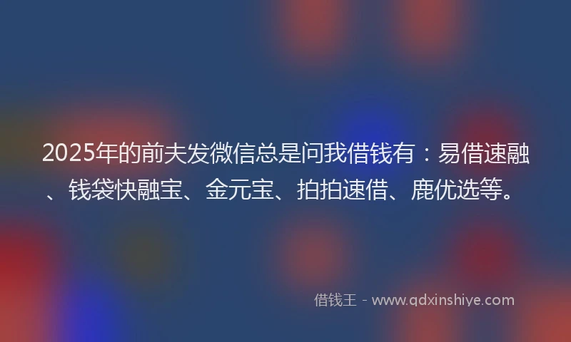 2025年的前夫发微信总是问我借钱有：易借速融、钱袋快融宝、金元宝、拍拍速借、鹿优选等。