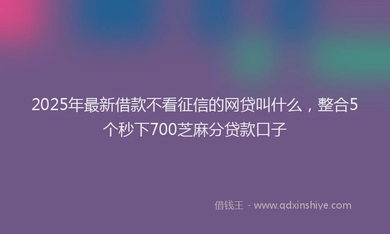 2025年最新借款不看征信的网贷叫什么，整合5个秒下700芝麻分贷款口子