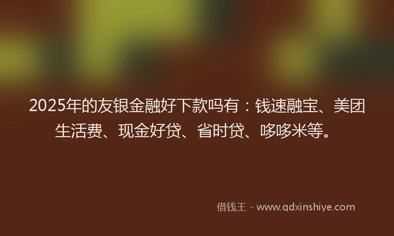 2025年的友银金融好下款吗有：钱速融宝、美团生活费、现金好贷、省时贷、哆哆米等。