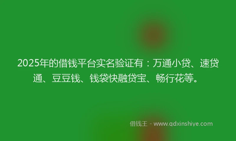 2025年的借钱平台实名验证有：万通小贷、速贷通、豆豆钱、钱袋快融贷宝、畅行花等。