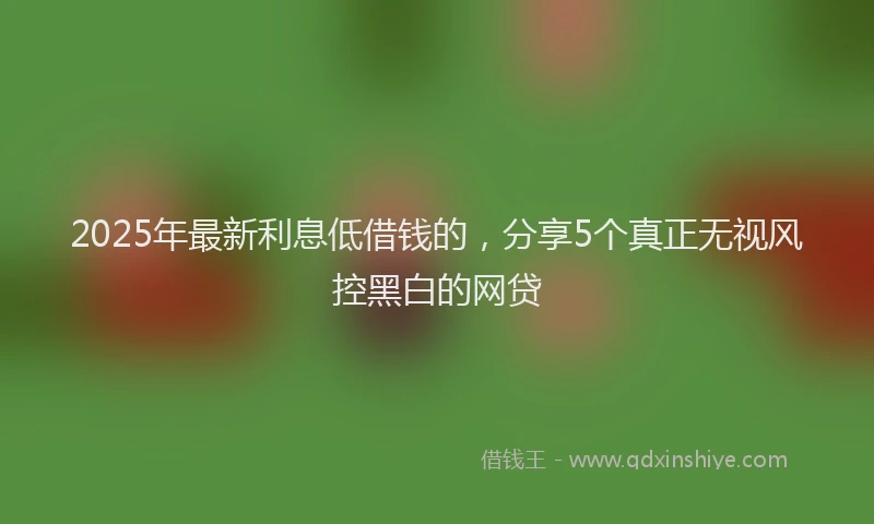 2025年最新利息低借钱的，分享5个真正无视风控黑白的网贷