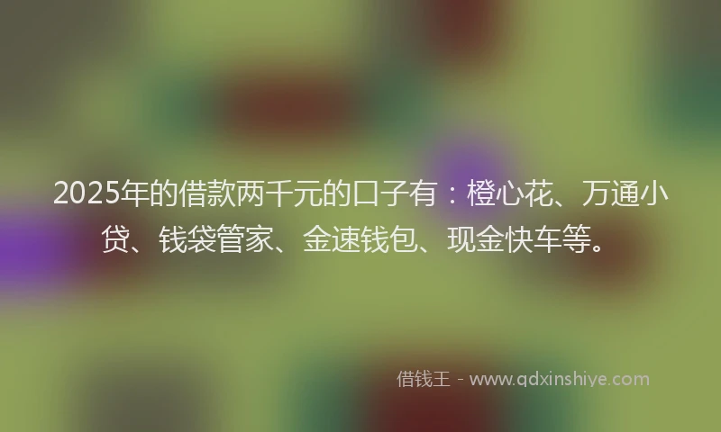2025年的借款两千元的口子有：橙心花、万通小贷、钱袋管家、金速钱包、现金快车等。