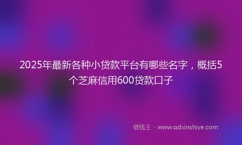2025年最新各种小贷款平台有哪些名字，概括5个芝麻信用600贷款口子