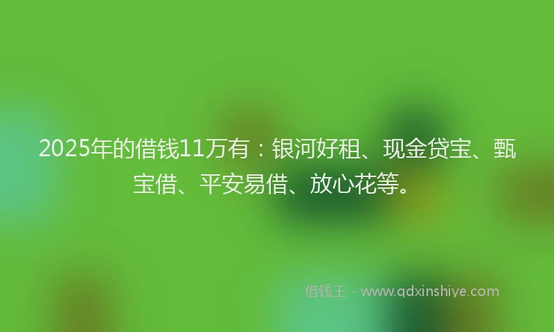 2025年的借钱11万有：银河好租、现金贷宝、甄宝借、平安易借、放心花等。