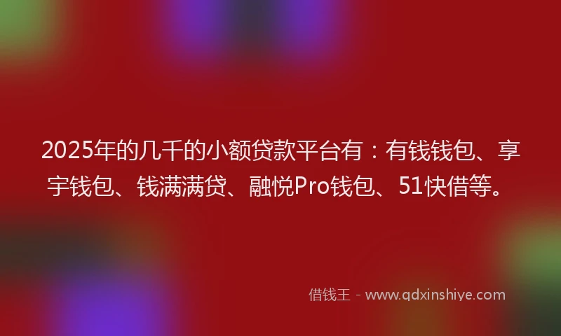 2025年的几千的小额贷款平台有：有钱钱包、享宇钱包、钱满满贷、融悦Pro钱包、51快借等。