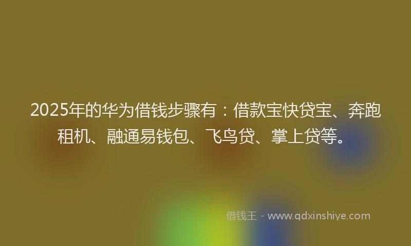 2025年的华为借钱步骤有：借款宝快贷宝、奔跑租机、融通易钱包、飞鸟贷、掌上贷等。