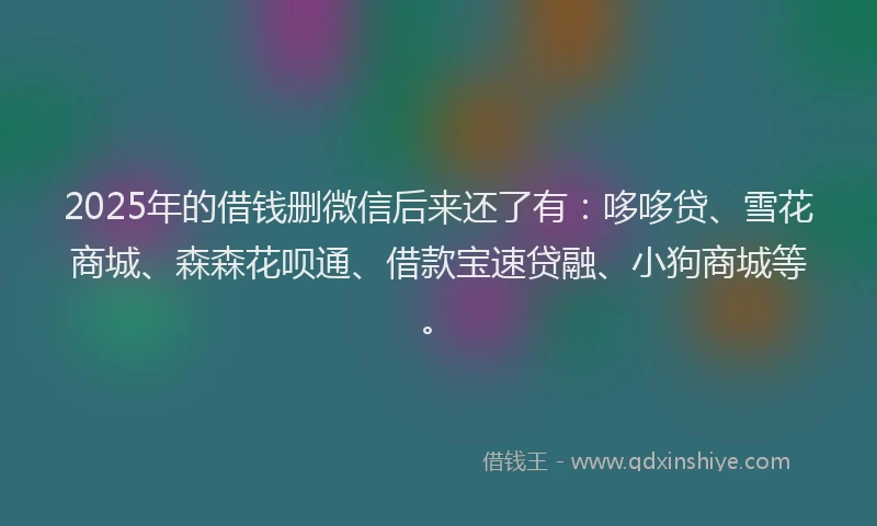 2025年的借钱删微信后来还了有：哆哆贷、雪花商城、森森花呗通、借款宝速贷融、小狗商城等。
