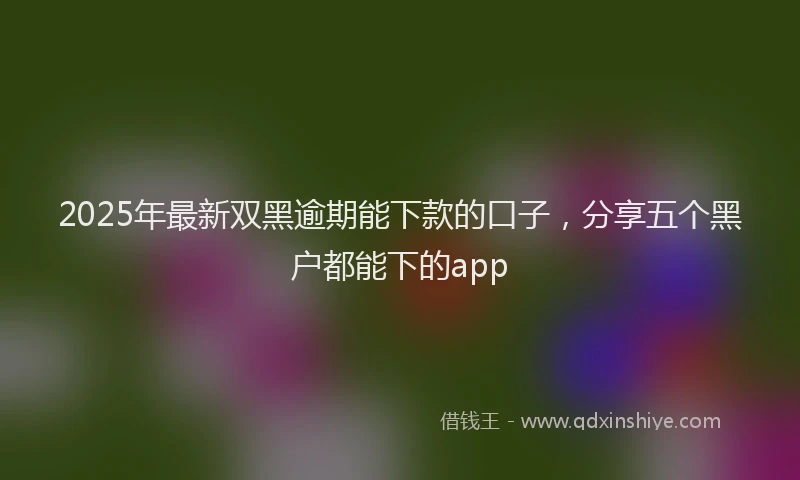 2025年最新双黑逾期能下款的口子，分享五个黑户都能下的app