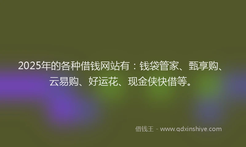 2025年的各种借钱网站有：钱袋管家、甄享购、云易购、好运花、现金侠快借等。