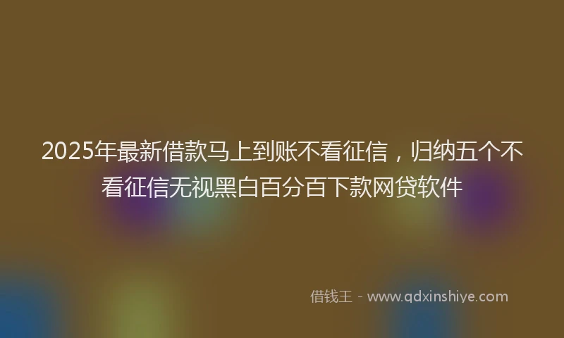 2025年最新借款马上到账不看征信，归纳五个不看征信无视黑白百分百下款网贷软件