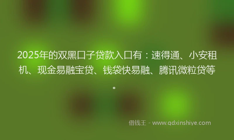2025年的双黑口子贷款入口有：速得通、小安租机、现金易融宝贷、钱袋快易融、腾讯微粒贷等。