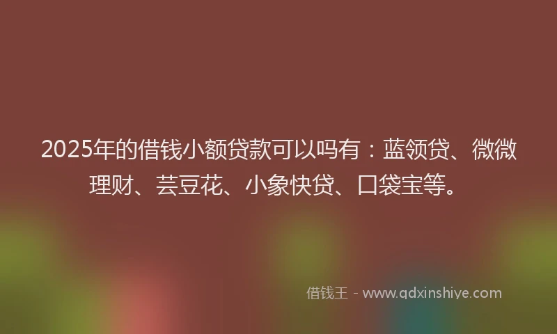 2025年的借钱小额贷款可以吗有：蓝领贷、微微理财、芸豆花、小象快贷、口袋宝等。