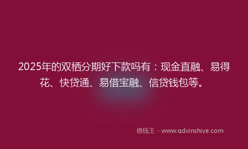 2025年的双栖分期好下款吗有：现金直融、易得花、快贷通、易借宝融、信贷钱包等。