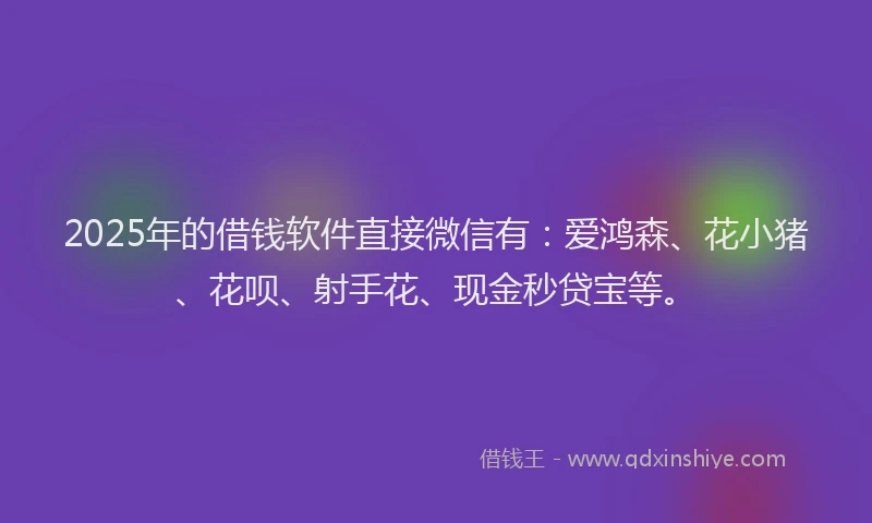 2025年的借钱软件直接微信有：爱鸿森、花小猪、花呗、射手花、现金秒贷宝等。