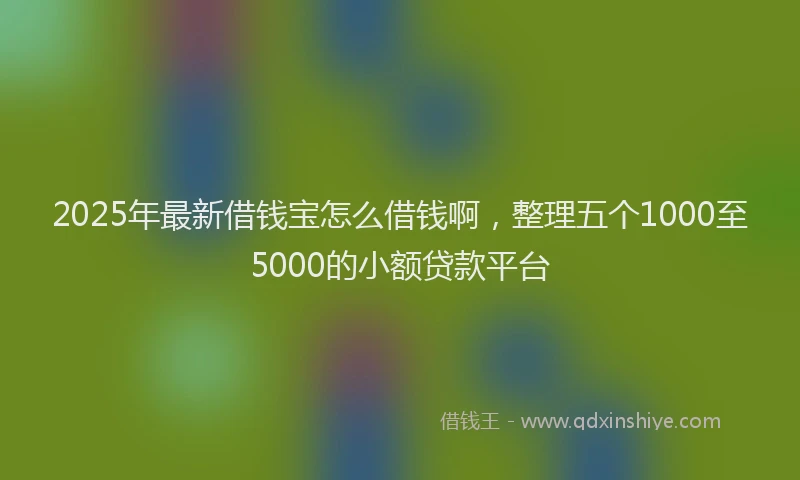 2025年最新借钱宝怎么借钱啊，整理五个1000至5000的小额贷款平台