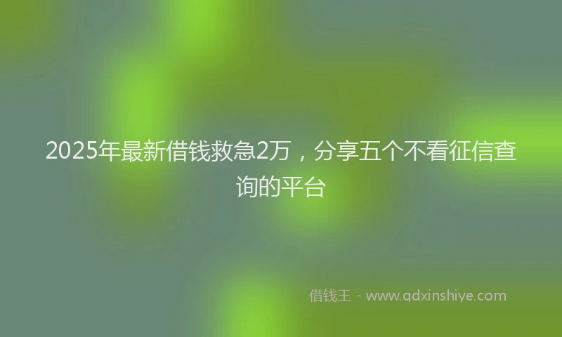 2025年最新借钱救急2万，分享五个不看征信查询的平台