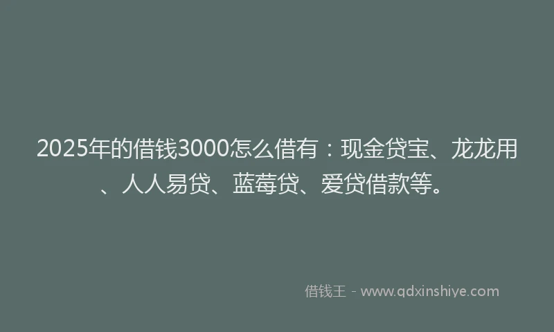 2025年的借钱3000怎么借有：现金贷宝、龙龙用、人人易贷、蓝莓贷、爱贷借款等。