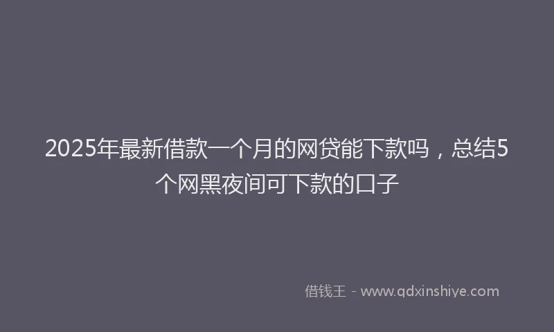 2025年最新借款一个月的网贷能下款吗，总结5个网黑夜间可下款的口子