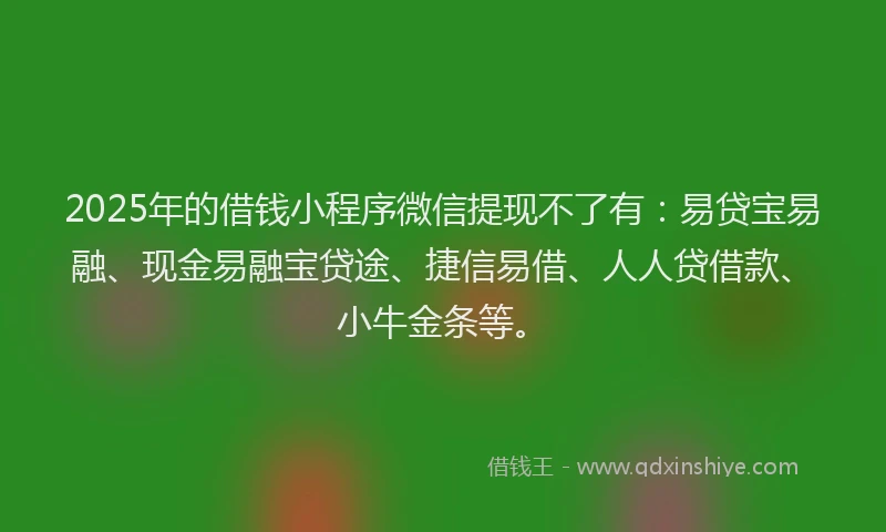 2025年的借钱小程序微信提现不了有：易贷宝易融、现金易融宝贷途、捷信易借、人人贷借款、小牛金条等。