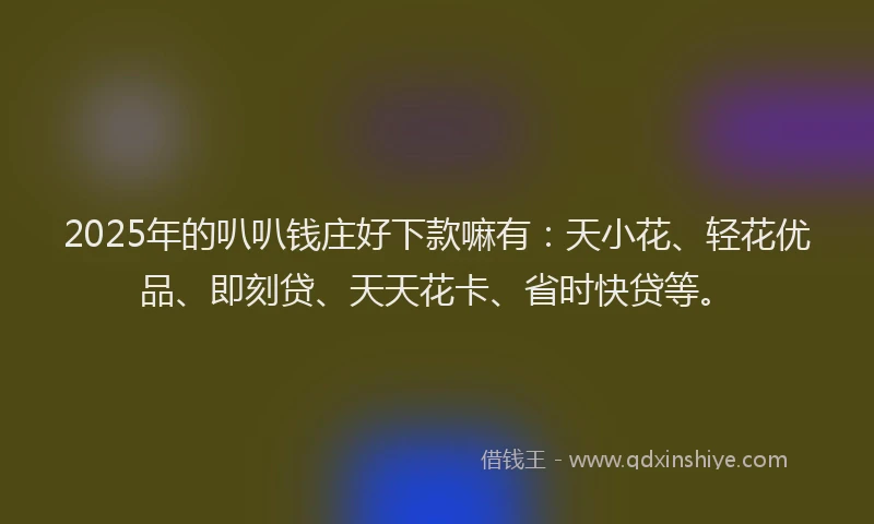 2025年的叭叭钱庄好下款嘛有：天小花、轻花优品、即刻贷、天天花卡、省时快贷等。