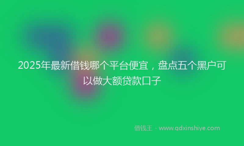 2025年最新借钱哪个平台便宜，盘点五个黑户可以做大额贷款口子