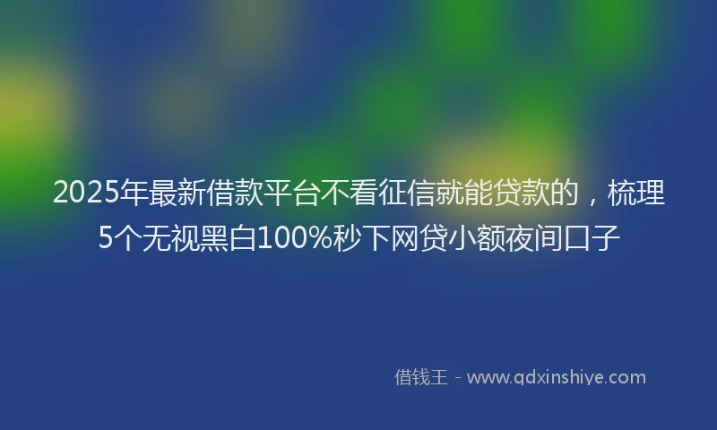 2025年最新借款平台不看征信就能贷款的，梳理5个无视黑白100%秒下网贷小额夜间口子