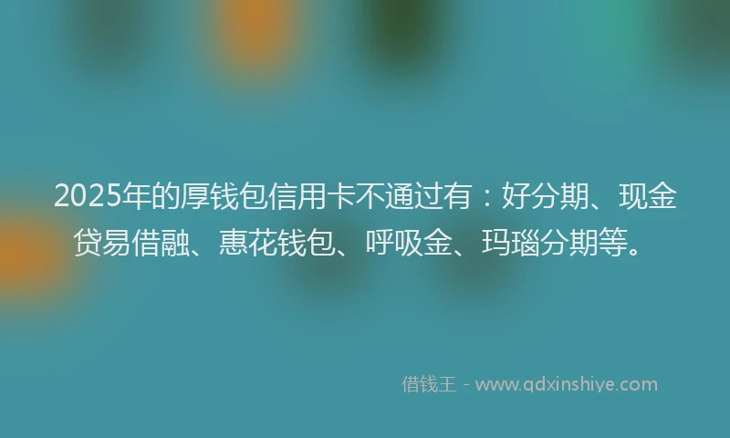2025年的厚钱包信用卡不通过有：好分期、现金贷易借融、惠花钱包、呼吸金、玛瑙分期等。