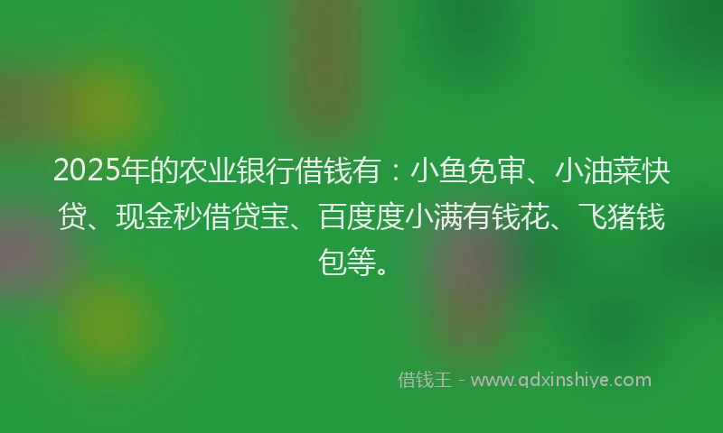 2025年的农业银行借钱有：小鱼免审、小油菜快贷、现金秒借贷宝、百度度小满有钱花、飞猪钱包等。