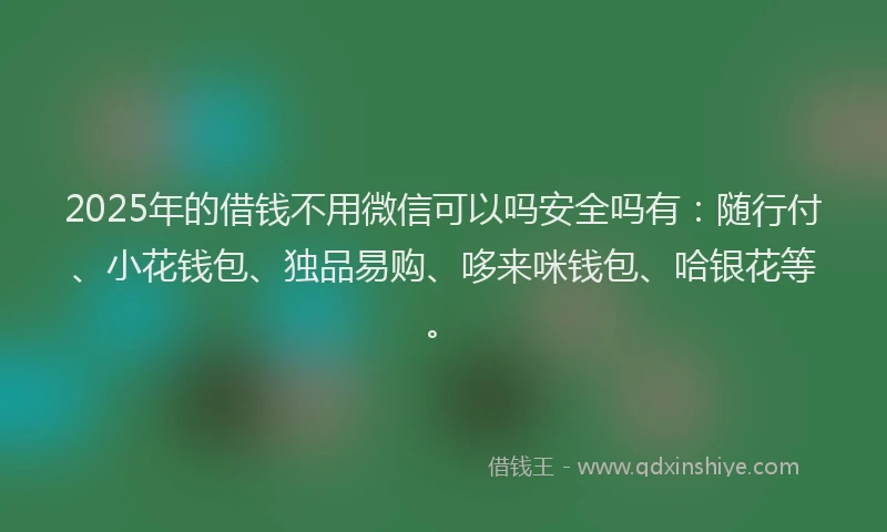 2025年的借钱不用微信可以吗安全吗有：随行付、小花钱包、独品易购、哆来咪钱包、哈银花等。