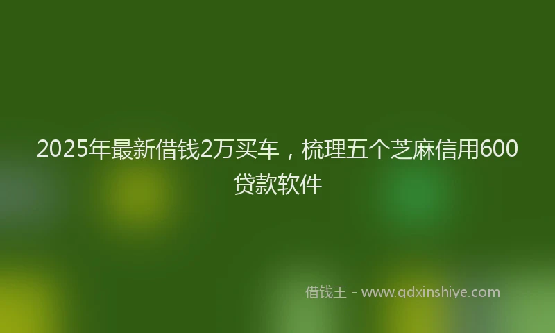 2025年最新借钱2万买车，梳理五个芝麻信用600贷款软件
