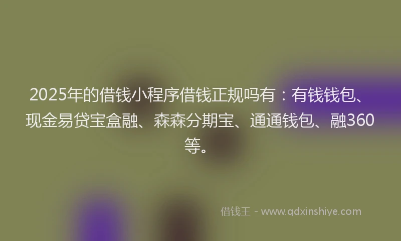 2025年的借钱小程序借钱正规吗有：有钱钱包、现金易贷宝盒融、森森分期宝、通通钱包、融360等。