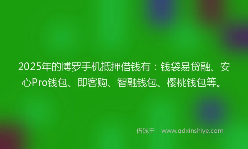 2025年的博罗手机抵押借钱有：钱袋易贷融、安心Pro钱包、即客购、智融钱包、樱桃钱包等。